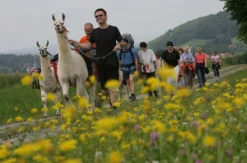 Lama Trekking Poppenhausen für 2