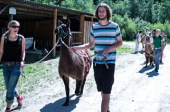 Lama-Trekkingtour