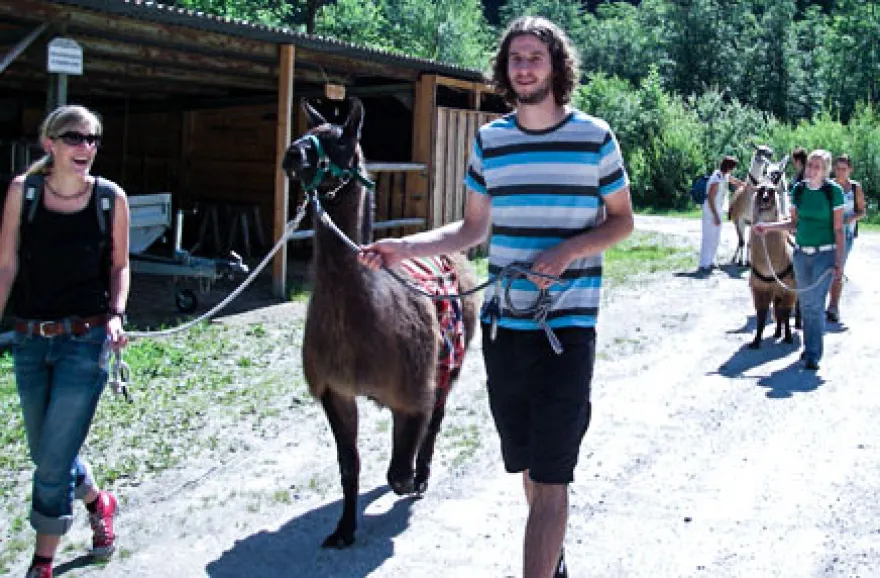 Lama-Trekkingtour