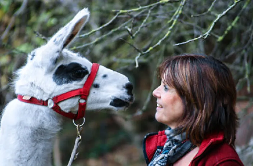 Lama-Trekkingtour