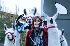 Lama-Trekkingtour