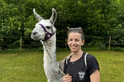 Lama Wanderung mit Yoga & Brunch