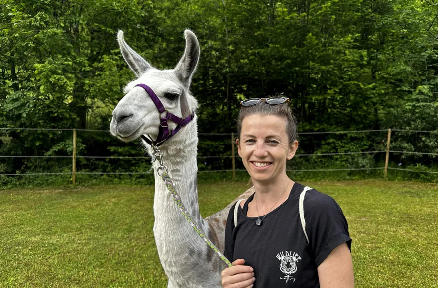 Lama Wanderung mit Yoga & Brunch