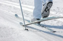 Langlauf-Kurs am Feldberg (2 Tage)