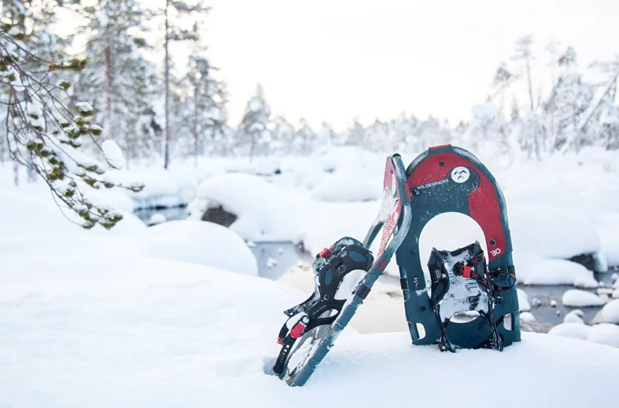 Lappland mit Schlittenfahrt für 2