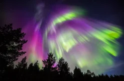 Lappland mit Schlittenfahrt für 2