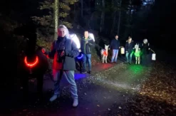 Laternenwanderung mit Alpakas Neckargerach