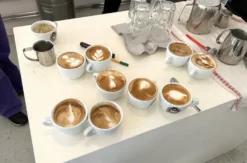 Latte Art Kurs Überlingen