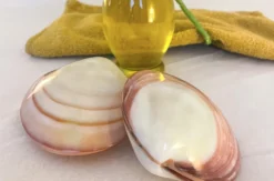 Lava Shell Massage St. Leon-Rot