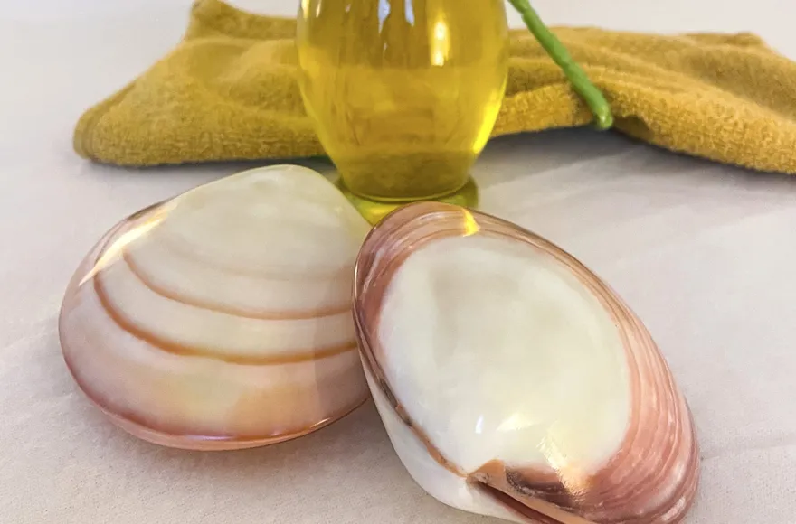 Lava Shell Massage St. Leon-Rot