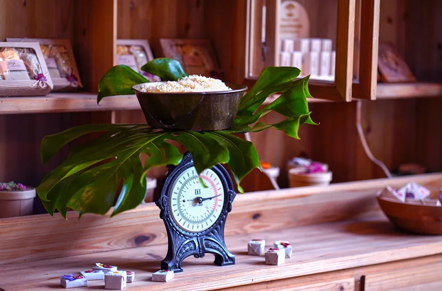 Lavendel Massage Bad Soden am Taunus