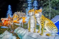 Lichterfestival mit Übernachten im Serengeti-Park für 2 (1 Nacht)