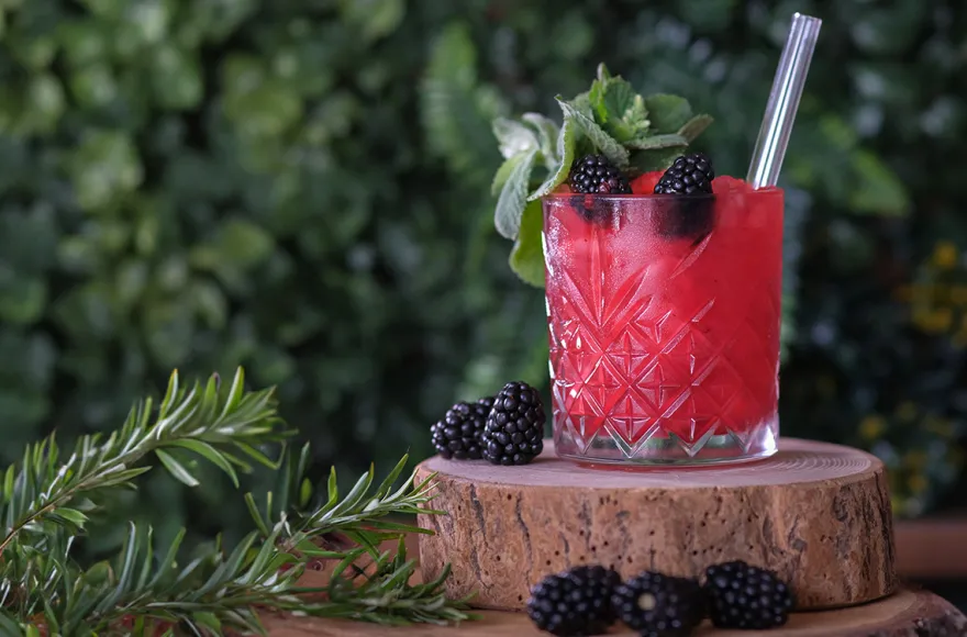 Likör & Cocktail Tasting Karlsruhe