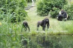 Lunch & Zoo Leipzig für 2