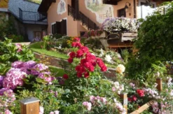 Luxusurlaub Südtirol für 2 (3 Nächte)
