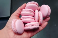 Macaron Backkurs Köln