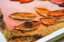 Malen mit Strukturpaste München