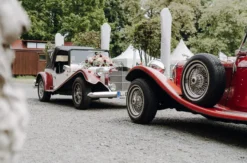 Mercedes Benz Oldtimer fahren Brandis