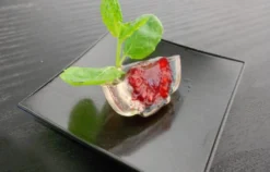 Molekulare Küche Bremerhaven