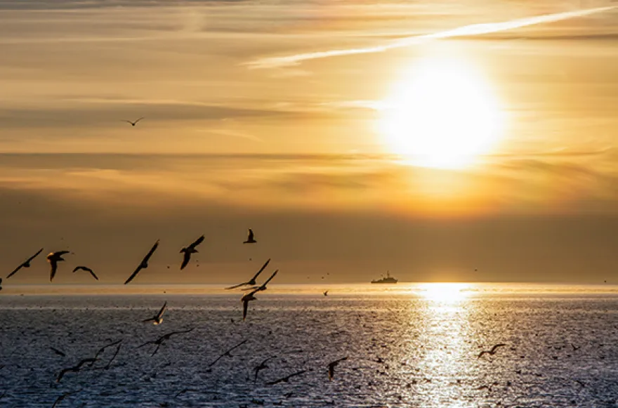 Mondscheinsegeln Kiel (zur Kieler Woche)