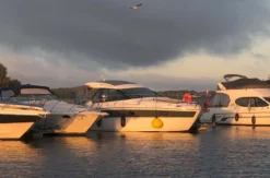 Motoryacht Waren (Sundowner - 2 Std.)