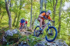 Mountainbike Freeride Kurs Raum Geislingen