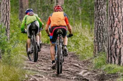 Mountainbike Grundkurs Böbrach