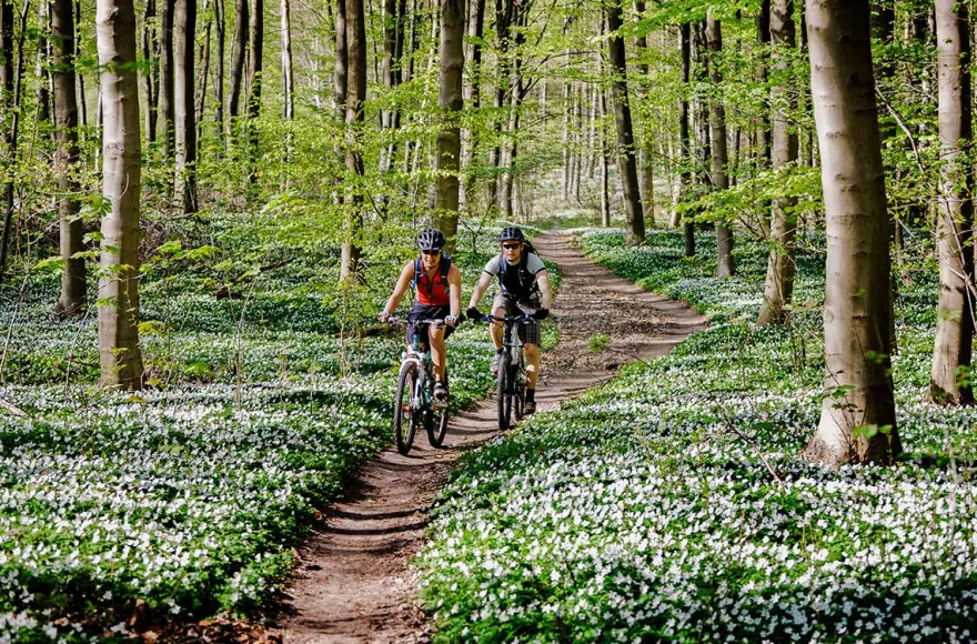 Mountainbike Grundkurs Böbrach