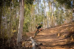 Mountainbike Kurs Basic