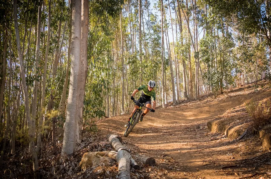 Mountainbike Kurs Basic