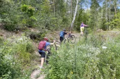 Mountainbike Kurs für Anfänger Erlangen