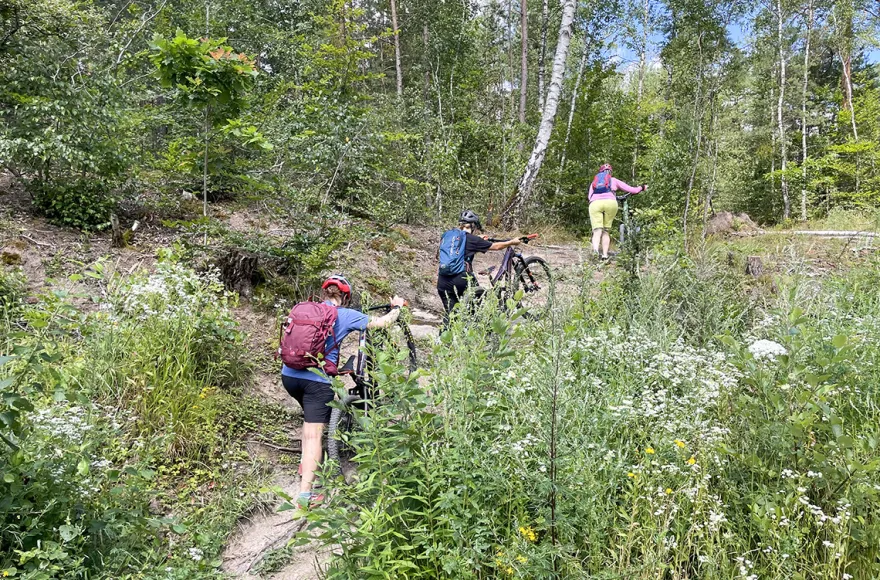 Mountainbike Kurs für Anfänger Erlangen