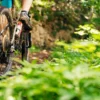 Mountainbike Kurs Kreuth (Basis-Kompakt)