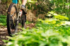 Mountainbike Kurs Kreuth (Basis-Kompakt)