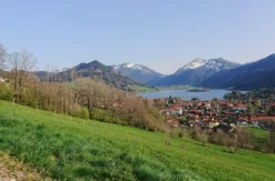 Mountainbike Kurs Kreuth (Basis-Kompakt)