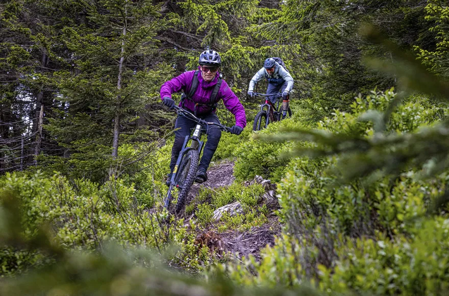 Mountainbike Privatcoaching Oberhof für 2