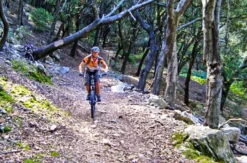 Mountainbike-Tour