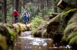 Mountainbike Tour Clausthal-Zellerfeld (4 Std.)