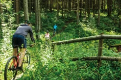Mountainbike Tour Clausthal-Zellerfeld (4 Std.)