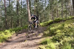 MTB Personal Training Erlangen