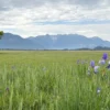 Murnauer Moos Rundweg - Führung für 2