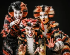Musical Dinner Mertingen