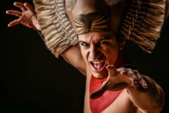 Musical Starlights (Show) Bad Neustadt a.d. Saale