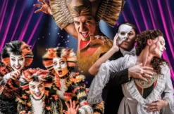 Musical Starlights Show Gotha
