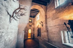 Nachtführung Burg Liechtenstein (1,5 Std.)