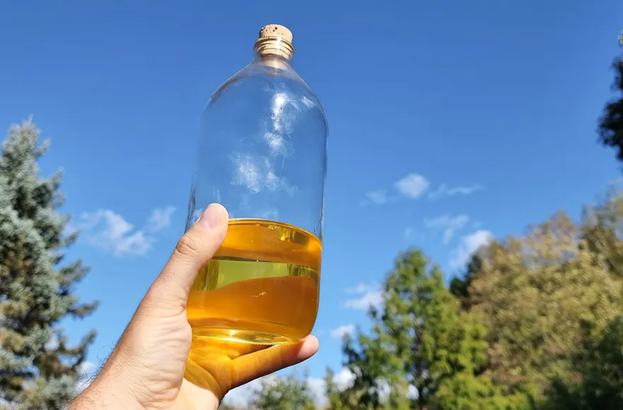 Naturkosmetik selber machen Neunkirchen