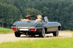 Oldtimer fahren für 2 München (Preisgruppe A)