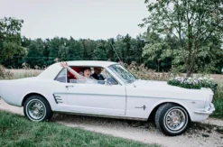 Oldtimer Ford Mustang mieten Krummennaab (1 Tag)