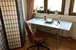 Online Coaching