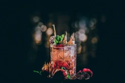 Online Cocktailkurs mit Mario Hofferer (ca. 2,5 Std.)